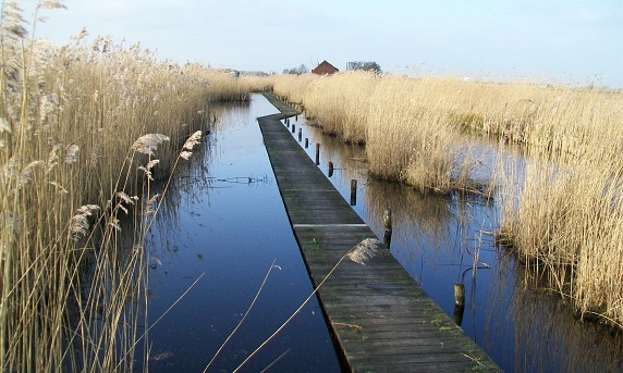 De Weeren palenpad Amsterdam 2013-02-04