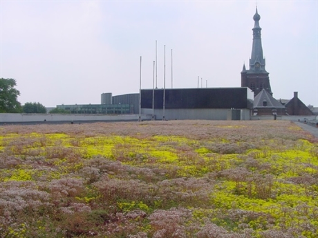 Groen dak stadskantoor I gemeente Tilburg, foto Paula Paulus